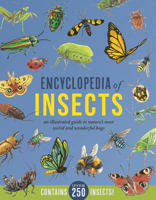 Encyclopedia of Insects 0785841679 Book Cover