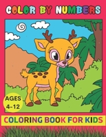 Color By Number Coloring Book For Kids Ages 4-12: Birds, Flowers, Animals, Princess, Vehicle, Landscape and Pretty Patterns B09C24B3GT Book Cover