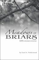 Meadows or Briars: God in the Midst of Our Pain 1973624044 Book Cover