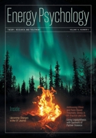 Energy Psychology Journal 16: 2 1604151781 Book Cover