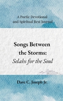 Songs Between the Storms 1944634118 Book Cover