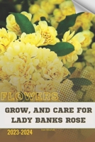 Grow, and Care for Lady Banks Rose: Become flowers expert B0CRF666ZC Book Cover