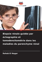 Biopsie rénale guidée par échographie et tomodensitométrie dans les maladies du parenchyme rénal (French Edition) 6209906117 Book Cover
