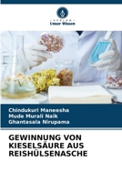 GEWINNUNG VON KIESELSÄURE AUS REISHÜLSENASCHE 6205976870 Book Cover