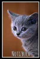 Notizbuch: Planer mit Katze f�r deine Notizen. 120 Seiten mit Karos und gl�nzendem Softcover 1702567850 Book Cover