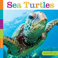 Sea Turtles 1608187802 Book Cover