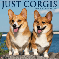 Just Corgis 2025 12 X 12 Wall Calendar 1549242563 Book Cover