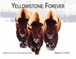 Yellowstone Forever: A Decade in Yellowstone National Park 1591521696 Book Cover