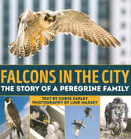 Falcons in the City: The Story of a Peregrine Family B0GN6KTJC3 Book Cover