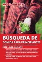 Búsqueda de Comida Para Principiantes: Este libro incluye: Identificación de hongos en América del Norte + Identificación de plantas medicinales en ... en América del Norte 1955786291 Book Cover