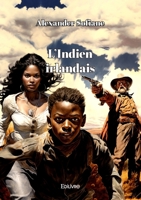 L'Indien irlandais 2414625430 Book Cover