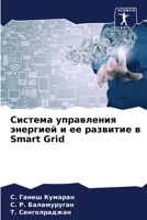 Система управления энер& 6205556537 Book Cover