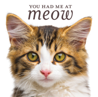 You Had Me at Meow 1640303855 Book Cover