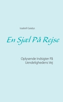 En Sjæl På Rejse: Oplysende Indsigter På Uendelighedens Vej (Danish Edition) 8743012051 Book Cover