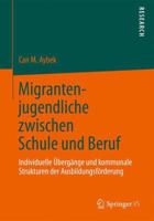 Migrantenjugendliche Zwischen Schule Und Beruf: Individuelle Übergänge Und Kommunale Strukturen Der Ausbildungsförderung 3531167626 Book Cover