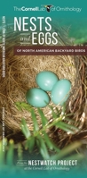 Nests and Signs of Common Urban Birds: Eastern US 1620052253 Book Cover