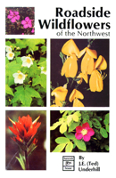 Roadside Wildflowers of the Northwest: Roadside Flowers of the Northwest 0888391080 Book Cover