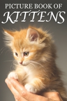 Picture Book of Kittens: Picture Book of Kittens: For Seniors with Dementia [Cute Picture Books] 1689215054 Book Cover