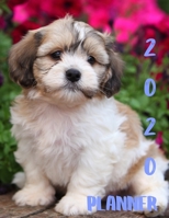 Planner 2020: 365 Days Daily Weekly & Monthly Personal Appointment at a Glance Calendar Planner Spread Views 12 Months to Do List | Jan 1, 2020 to Dec 31,  2020 Design Shih Tzu Lover Cover 1677633328 Book Cover