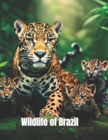 Wildlife of Brazil: coloring book B0CHKTLXYL Book Cover