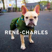 Rene-Charles: NYC: Little Bulldog in the Big City 0762460016 Book Cover