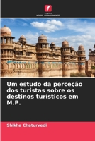Um estudo da perceção dos turistas sobre os destinos turísticos em M.P. (Portuguese Edition) 6208631270 Book Cover