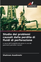 Studio dei problemi causati dalla perdita di fluidi di perforazione (Italian Edition) 6208197880 Book Cover