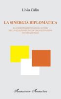 La sinergia diplomatica: Il coordinamento degli attori nelle relazioni e nelle organizzazioni internazionali (Harmattan Italia) (French Edition) 233657599X Book Cover