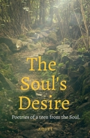 The Soul's Desire B0BN3D135T Book Cover