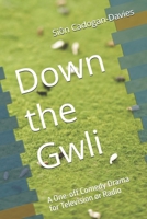 Down the Gwli: A One off Comedy Drama for Television or Radio B0FG1MSFM5 Book Cover