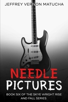Needle Pictures: Book Six of the Skye Wright Rise and Fall Series (The Rise and Fall of Skye Wright) B0GSKN1ZD8 Book Cover