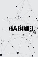 Terminkalender 2020: Für Gabriel personalisierter Taschenkalender und Tagesplaner ca DIN A5 | 376 Seiten | 1 Seite pro Tag | Tagebuch | Wochenplaner (German Edition) 1677444924 Book Cover
