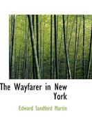 The Wayfarer in New York 101756096X Book Cover