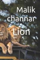 Lion B09T63NTFR Book Cover