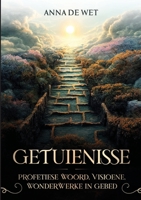 Getuienisse: Profetiese Woord, Visione, Wonrderwerke in Gebed: null 1776375467 Book Cover