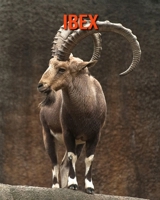 Ibex: Amazing Facts about Ibex B08LNG9Q74 Book Cover