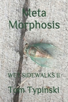 Meta Morphosis: Wet Sidewalks Two 0990777685 Book Cover