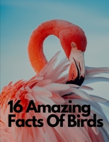 16 Amazing Facts Of Birds B0C9S8W44W Book Cover