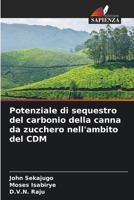 Potenziale di sequestro del carbonio della canna da zucchero nell'ambito del CDM 620906292X Book Cover
