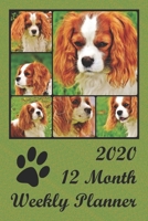 2020 12 Month Weekly Planner: 1 Year Daily/Weekly/Monthly Planner, January 1,2020-December 31, 2020, Cavalier King Charles Spaniel Dog Cover 1679702599 Book Cover