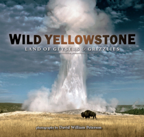 Wild Yellowstone: Land of Geysers and Grizzlies 1560378182 Book Cover