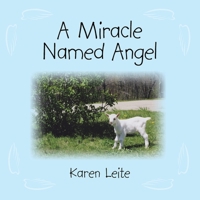 A Miracle Named Angel 1438952465 Book Cover