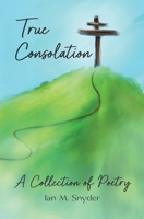 True Consolation B0DQJ8NLTS Book Cover