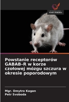 Powstanie receptorów GABAB-R w korze czolowej mózgu szczura w okresie poporodowym (Polish Edition) 6630334027 Book Cover