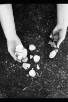 The Angel of Death 1794438009 Book Cover