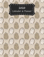 2020 Calendar & Planner: Hedgehogs Premium 2020 Calendar For Animal Lovers Everywhere Academic Planner & Scheduler 1708132929 Book Cover