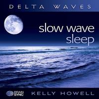 Slow Wave Sleep 1605680656 Book Cover