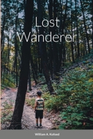 Lost wanderer 1716799945 Book Cover