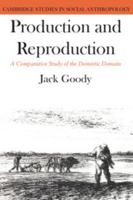 Production and Reproduction: A Comparative Study of the Domestic Domain 0521290880 Book Cover