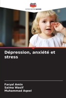 Dépression, anxiété et stress 620909404X Book Cover